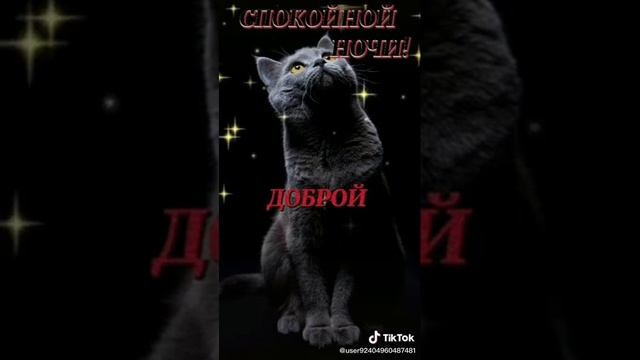 @Pozitiv TV Спокойной ночи,приятных сновидений.💞💞💞🖐️?