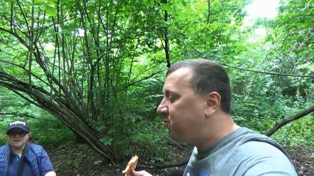 Додо Пицца / Обзор в Лесу