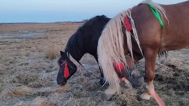 6d0c1afd53dc57b3134f464e617ee7c7