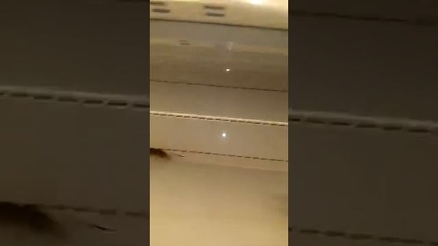 мышь бегает по колбасе в ТЦ Лента  Пенза