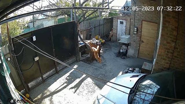 Hikvision DS PDTT15AM LM WE: ложное срабатывание | False Alarm