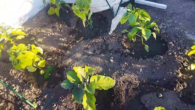 Долгожданное тепло. Результаты на конец мая 2024.