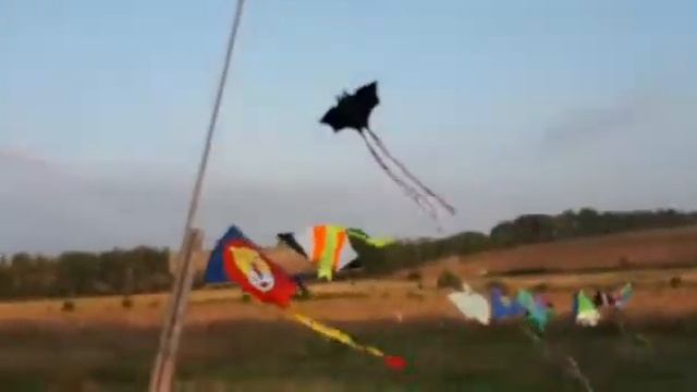 Bfc2ed58e243a10e3a84d30c6ef1a823