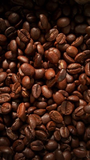 5bd11075f15a9537464b2bbb015184d3