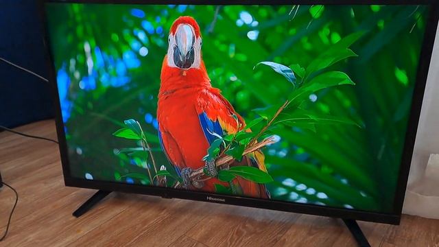 Телевизор LED Hisense H32A5100