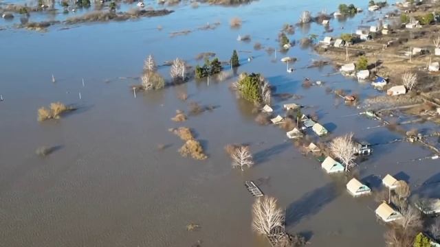 Ожеребилась кобыла-новое пополнение в хозяйстве.Ветв?
