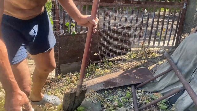 Разбавила сок.Вынесла цветы из дома. Курица неслушниц?