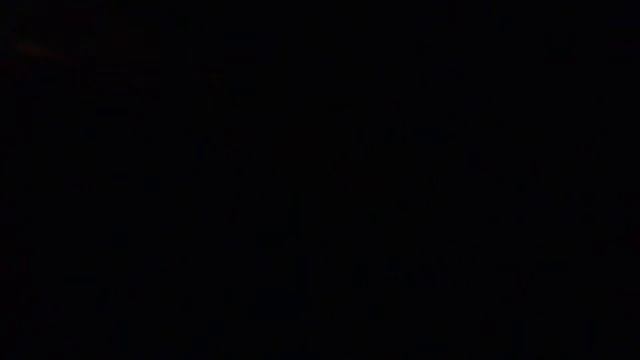 Мужик допился до чертиков и орет на полицейских матом