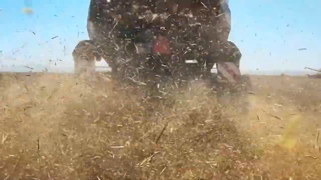 АЛТАЙСКИЕ БРЕНДЫ