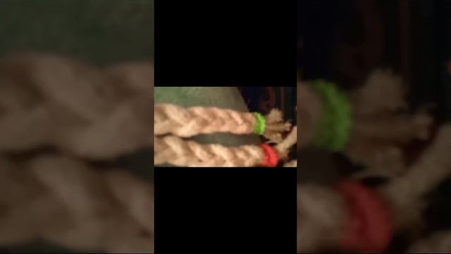 Косички. Просто косички