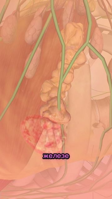 B2dc62657e38872c9367553dc2eaf345