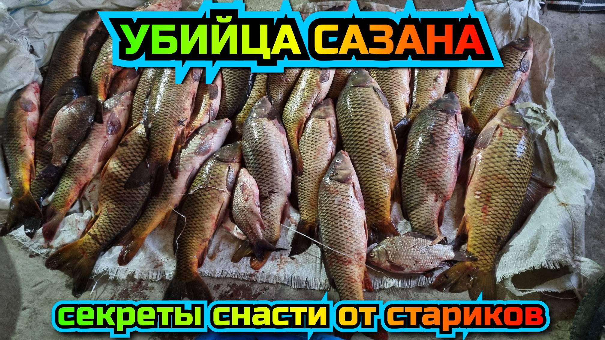 Cbd8871938bf384672384714d69a8b19