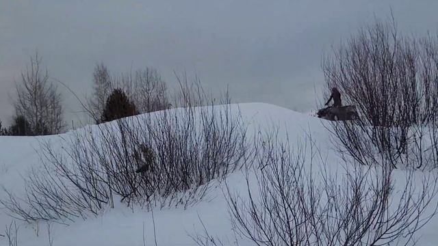 13b7b312f3745332361fc94f12b3c7d1