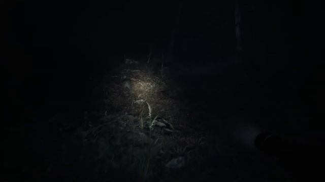 ЛЕС, ПЕС И УГОЛЬНАЯ ЧУПОКАБРА #1 👻 Blair Witch