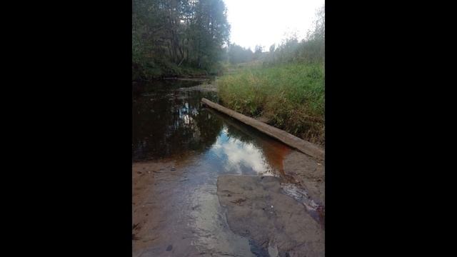 УДАРЫ ЛОПАТОЙ, ЭТО ПОЛЕЗНО?