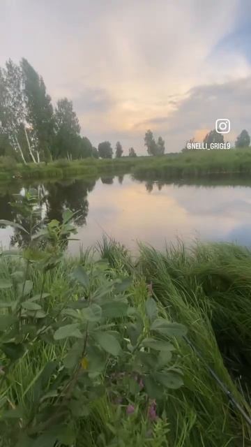 На рыбалочке #сибирь#август#озеро