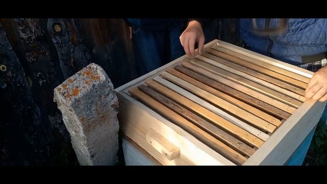 ВТОРОЙ МАГАЗИН ЗАЛИЛИ СТАВИМ 3  15 ИЮЛЯ