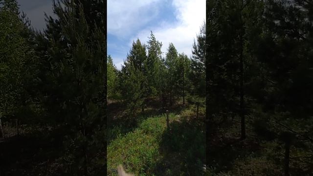 продаю участки в пригороде Тюмени.озеро Сингуль