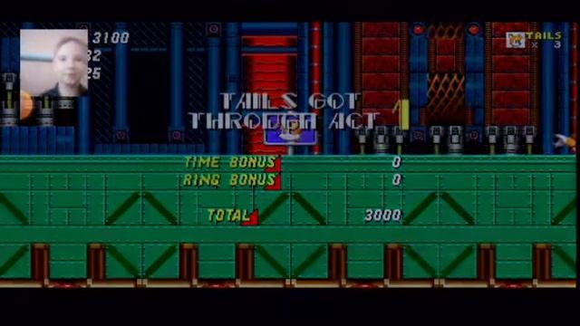 Проходим самый сложный уровень в Sonic 2