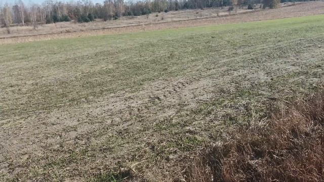 ЮМЗ і углосніми на плуг плн