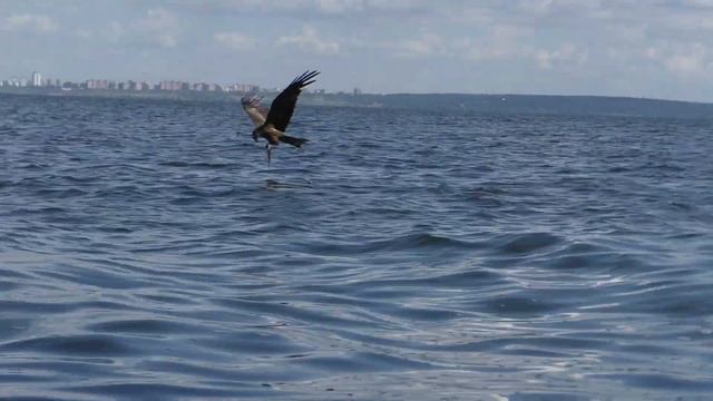 Поход на байдарке из Подвалья в Тольятти. День 3