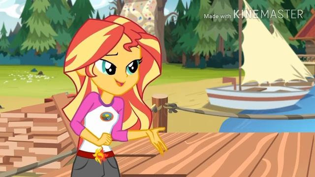 PMV-Роль