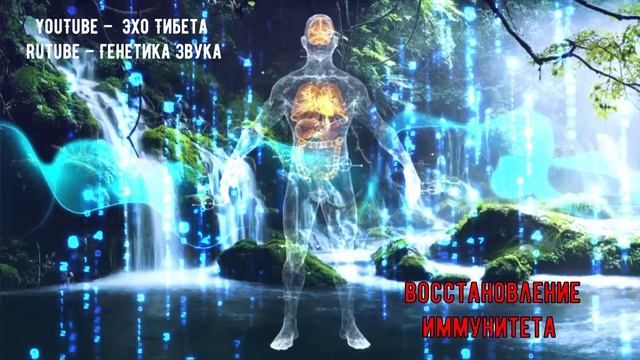 Волновое восстановление иммунитета.Матрица Петра Гар