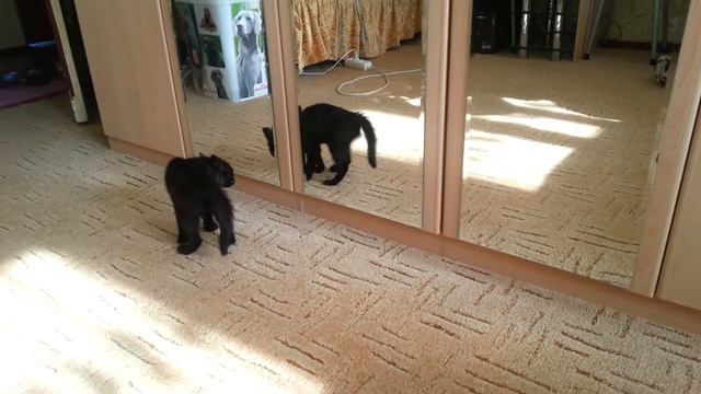 Cfab7255149436c260ebb55275045cb1