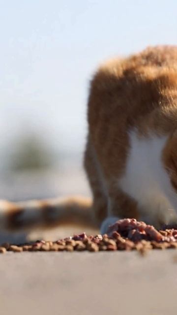 B6fafd1e38e26e20c8e3b6ccbd01b295