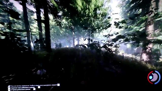 Прохождение игры The Forest