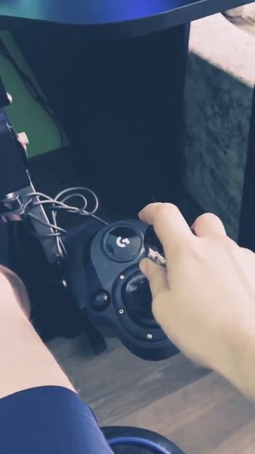 Dirt Rally#rally#гонки#G29