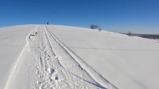 Торнолыжка сноуборд 2024 1