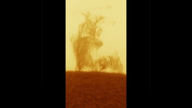 Крупный план динамической поверхности Солнца.