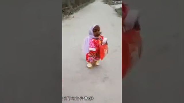 Модные собачки