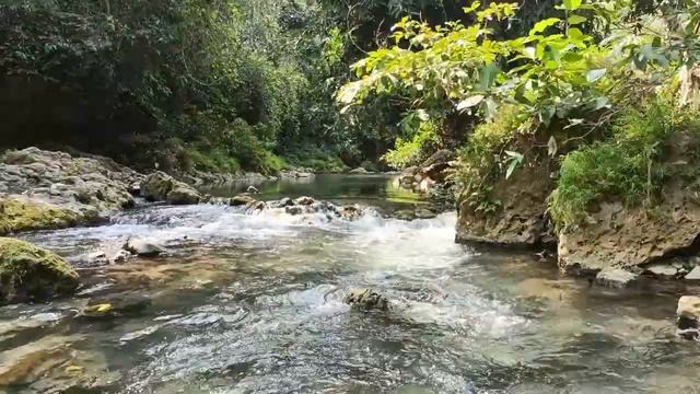 ЗАМЕЧАТЕЛЬНЫЕ ПРАКТИКИ!! ТОВАРЫ, МАГАЗИН РУКЬЯ, ОФИС, Д