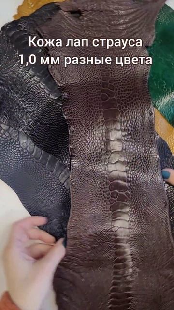 E801e8dbc65ac97550e116add556cfed