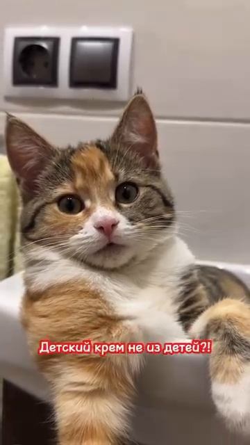 Чем выше интеллект к тем больше в жизни человек способный