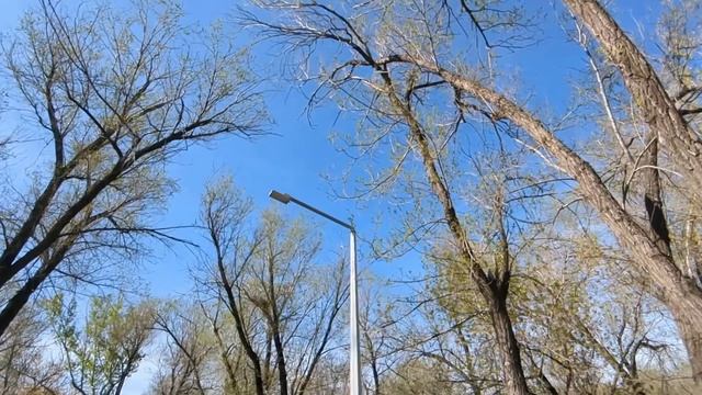 После развода я наконец-то переехала в унаследованную