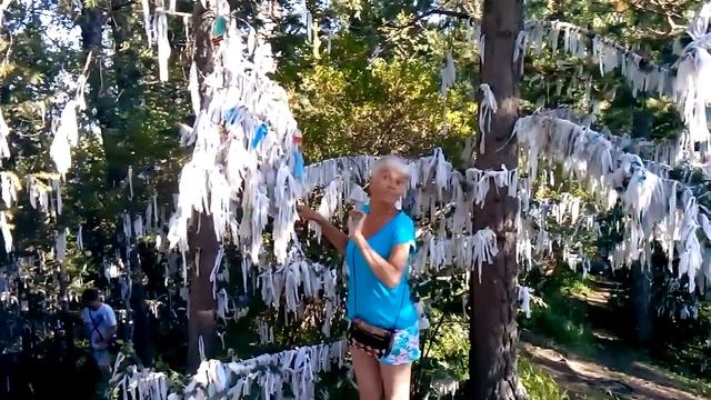 Дерево желаний