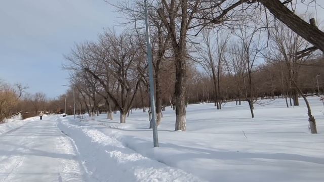 Раз моя мама не имеет права находиться в нашей квартир