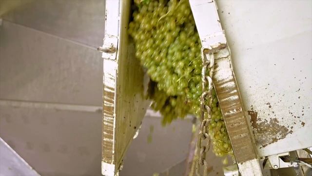 Първата изба на Гави!