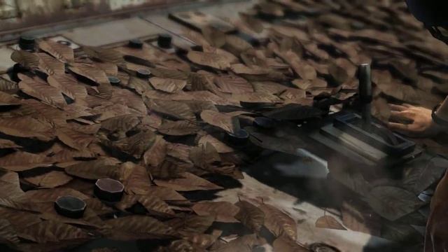 Tomb Raider 2013 #9 - 