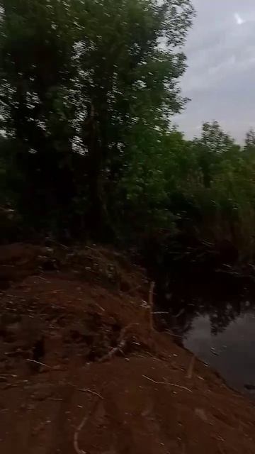 чистка реки Лугань