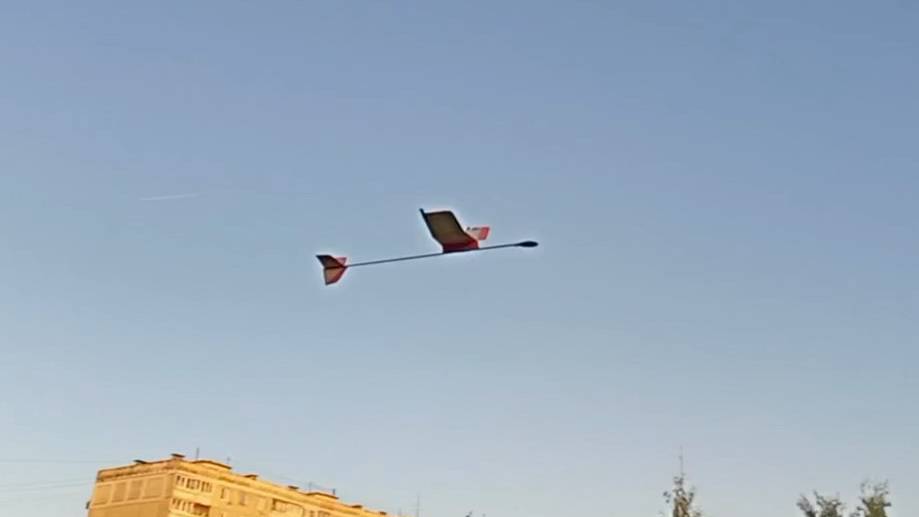 Тренировка