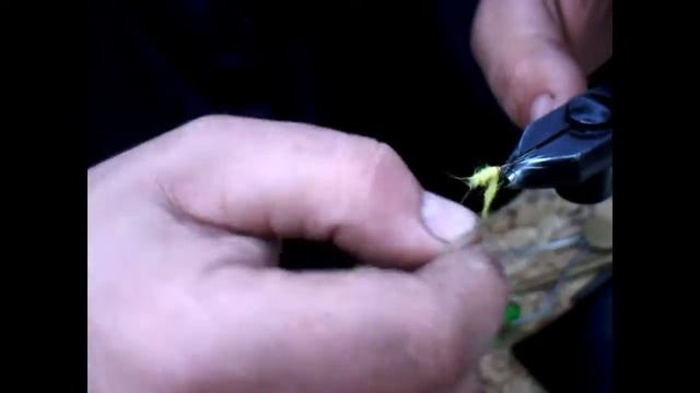 Желтая верховая муха.