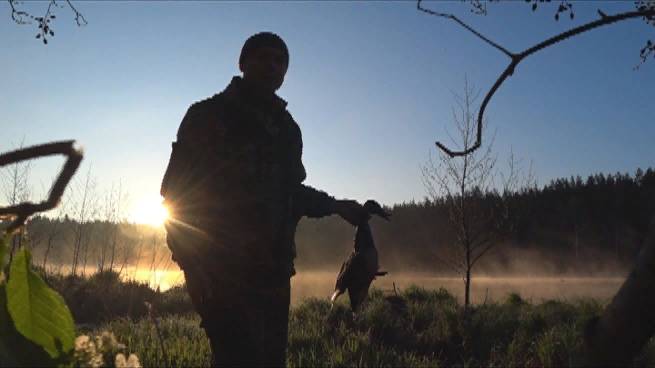 Охота на селезня с подсадной 2025