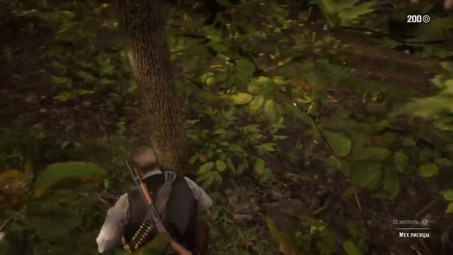 Red Dead Redemption 2_Легендарные животные(Лиса)#1