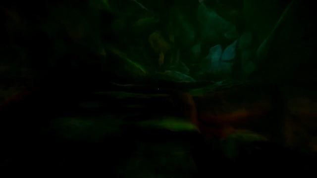 Прохождение The Cursed Forest # 2. Первые появления призрака девочки.