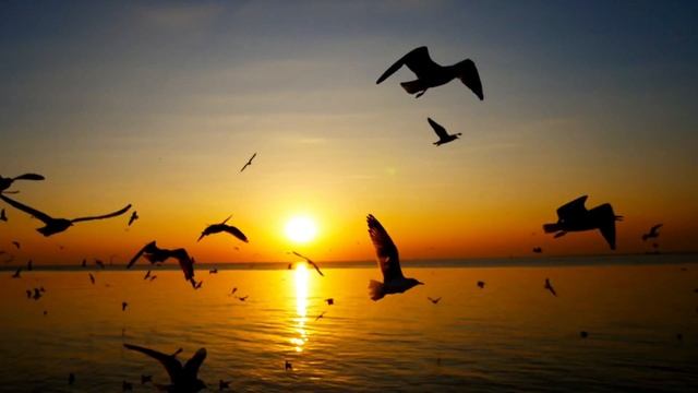 Работает на 100%  Мощная медитация на ОТПУСКАНИЯ прошло?