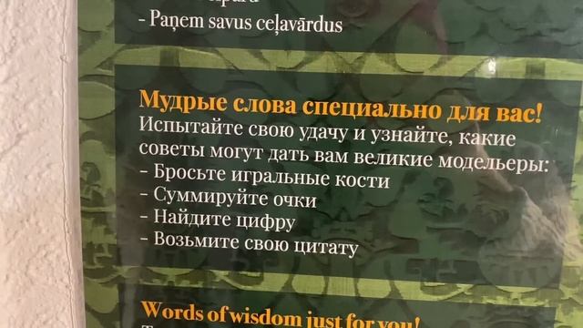 Vlog💚ЧТО НАС ОЖИДАЕТ | СЧЁТ ЗА КВАРТИРУ | LIDL | МОДА | ЛАТВ?